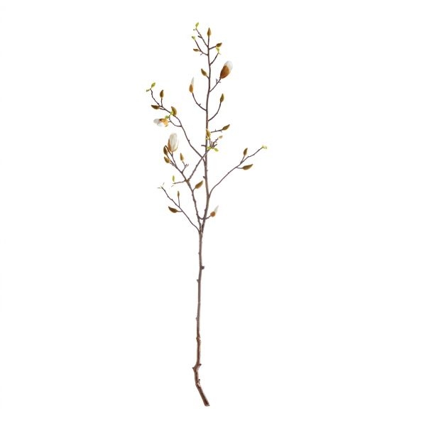 Picture of MAGNOLIA BUDDING BRANCH