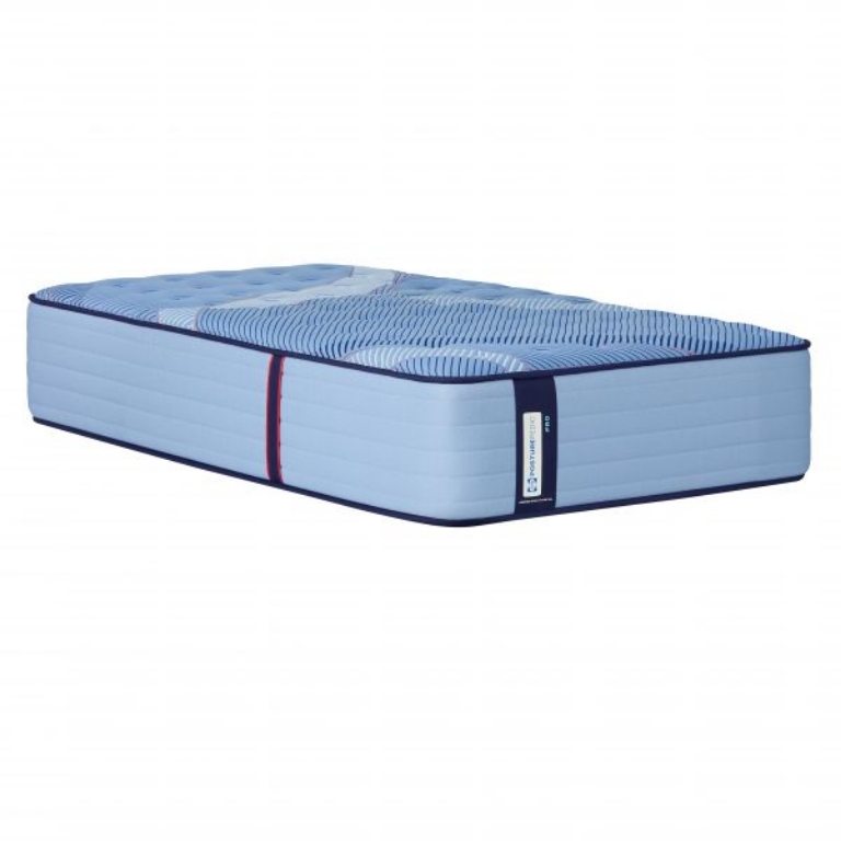 Picture of DUPONT II FIRM TWIN MATT