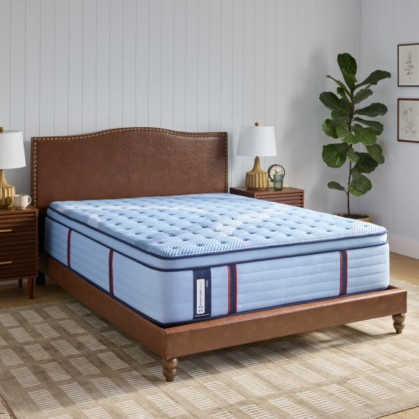 Picture of DUPONT II MED EURO PT QN MATT