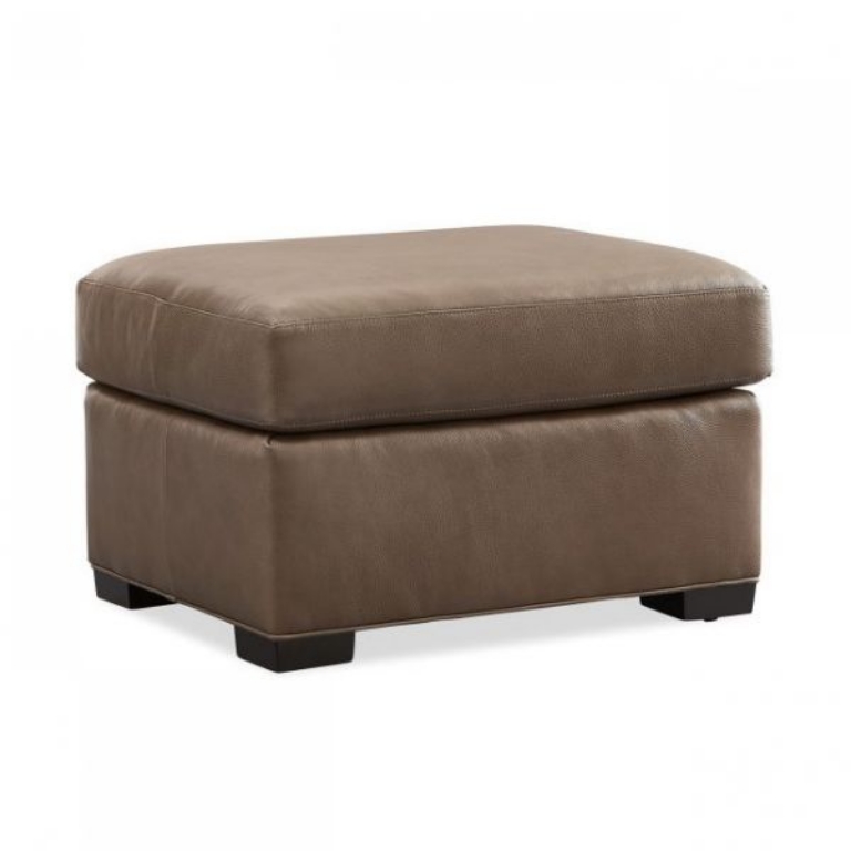 Picture of LUNA CHAIR & OTTOMAN