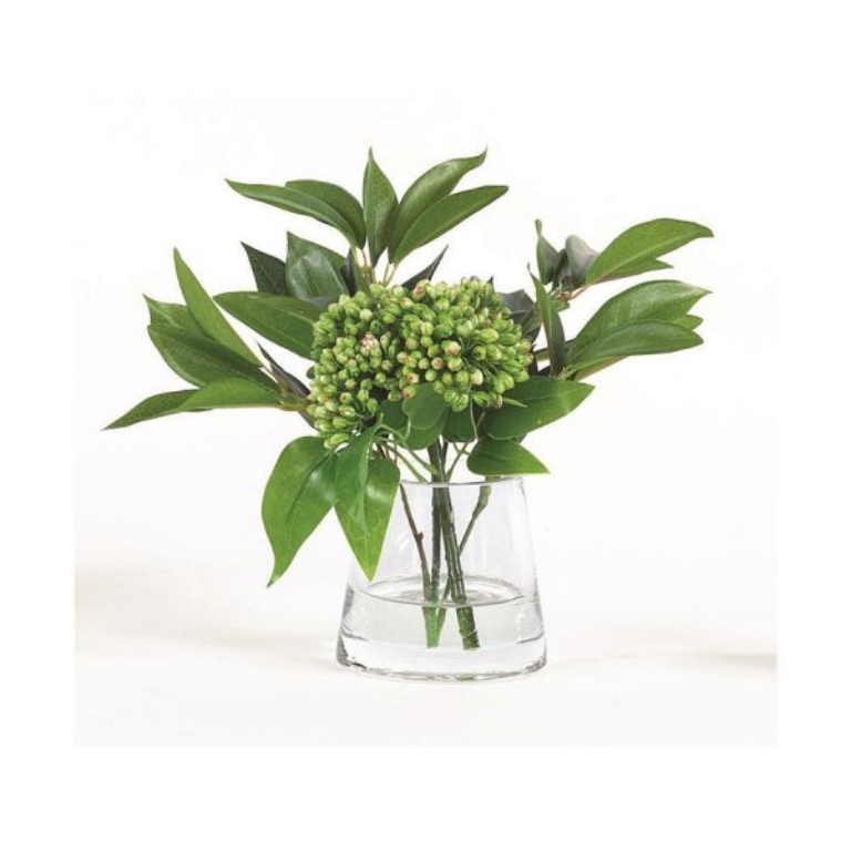 Picture of GREEN SEDUM IN WATER