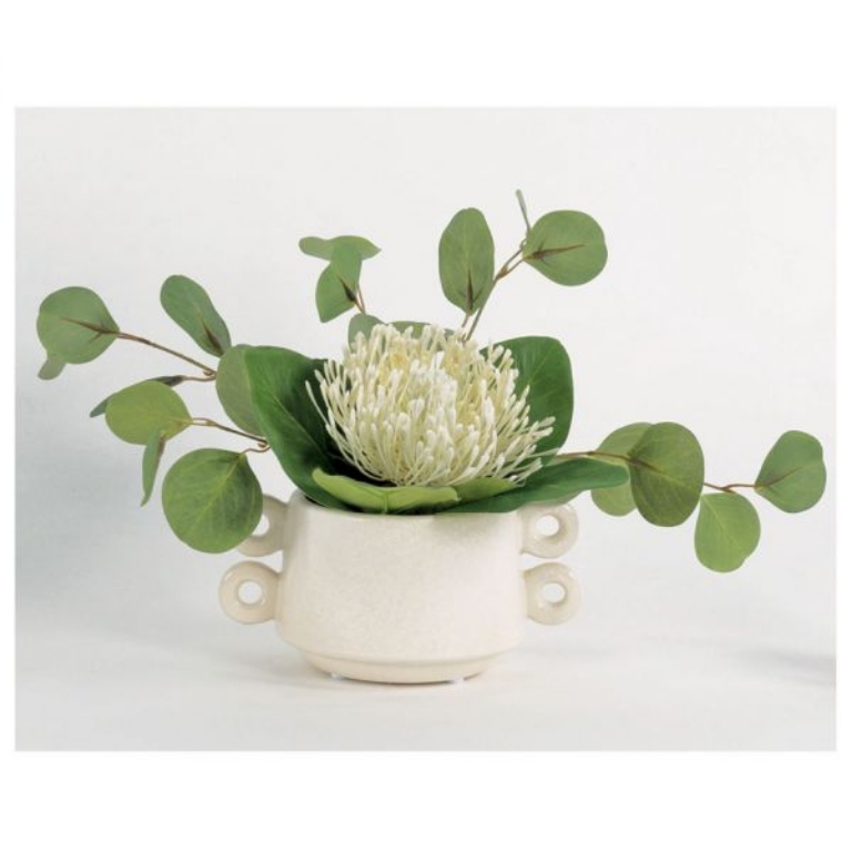 Picture of WHITE PIN PROTEA IN VASE