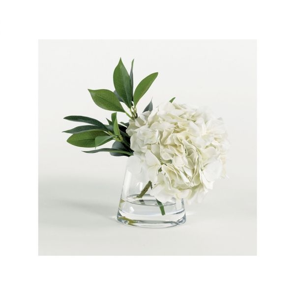 Picture of SINGLE WHITE HYDRANGEA