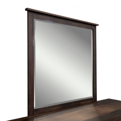 Picture of WILLIAMSPORT 66" LOW DRES MIRR