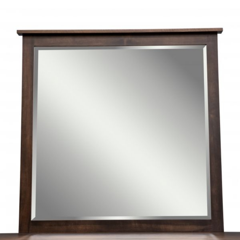 Picture of WILLIAMSPORT 66" LOW DRES MIRR