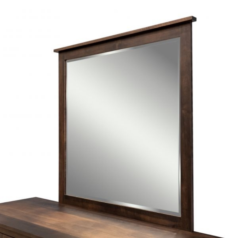 Picture of WILLIAMSPORT 66" LOW DRES MIRR