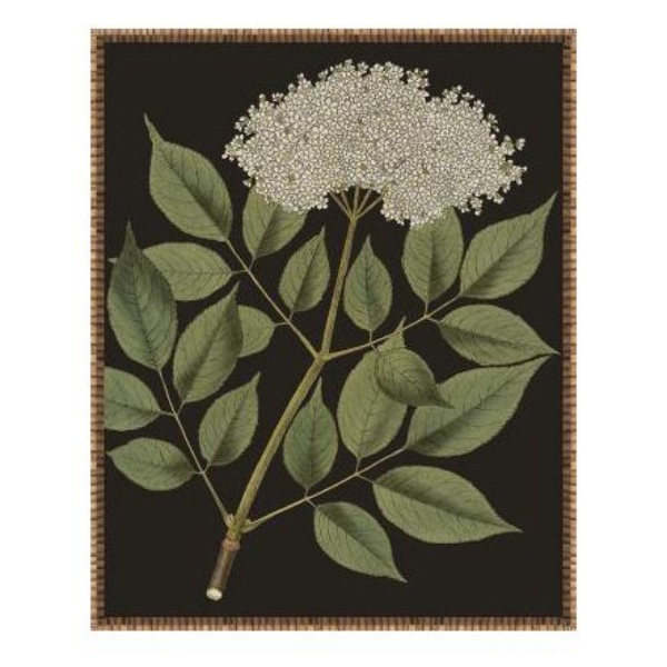 Picture of ENDLESS LOVE VIII