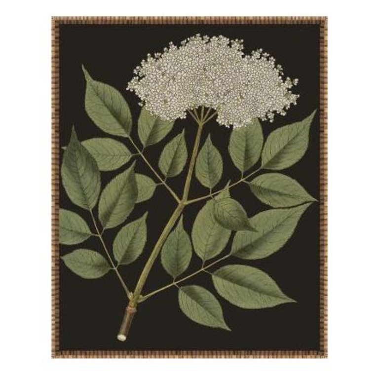 Picture of ENDLESS LOVE VIII