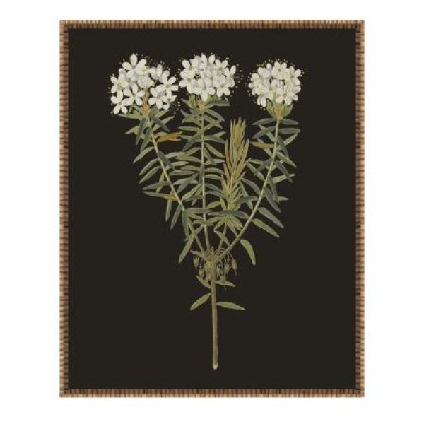 Picture of ENDLESS LOVE II