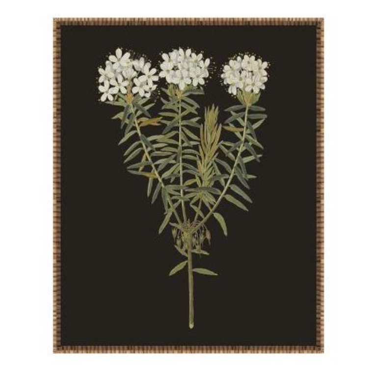 Picture of ENDLESS LOVE II