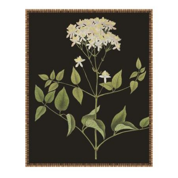 Picture of ENDLESS LOVE VI