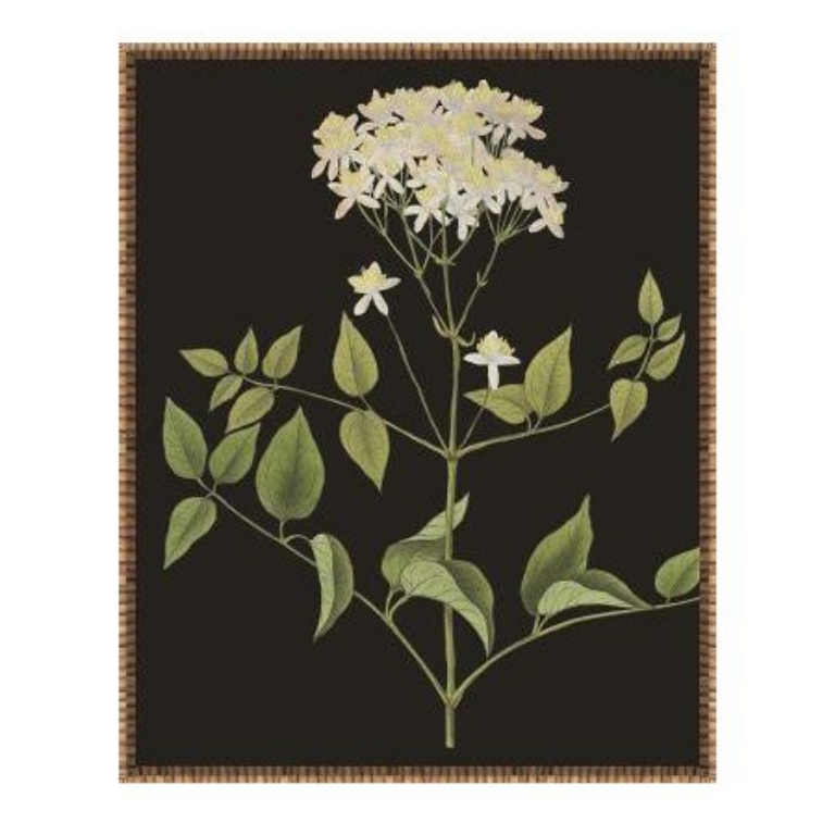 Picture of ENDLESS LOVE VI