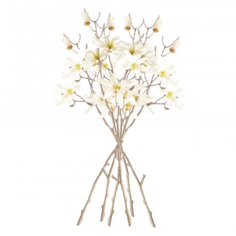 Picture of STAR MAGNOLIA BRANCHES