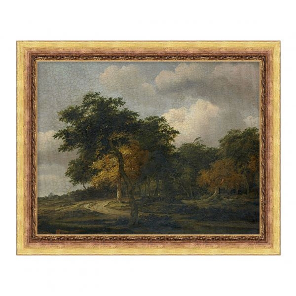 Picture of THE SILENT GROVE