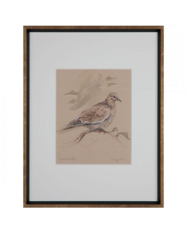 Picture of DOVE REST XI