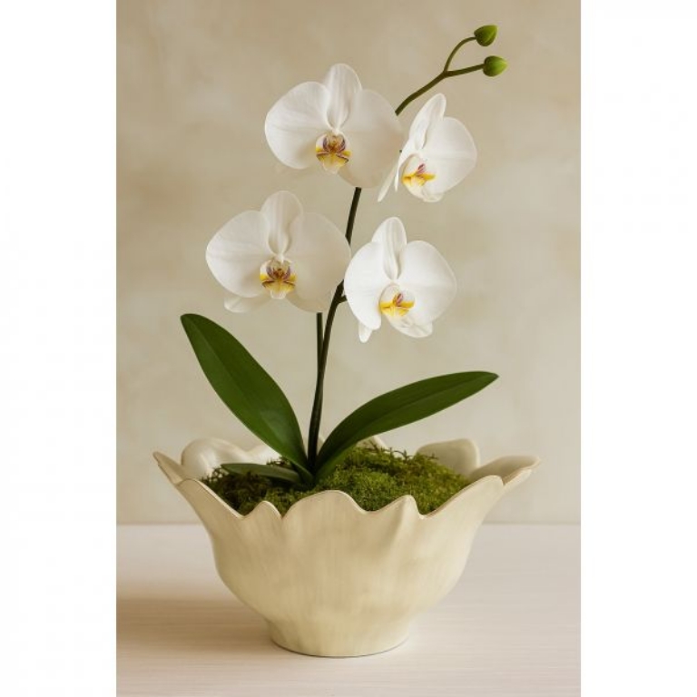 Picture of HIBBS LARGE DECORATIVE BOWL